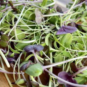 garden mix microgreens