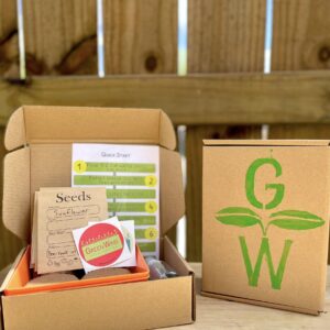 microgreens grow kit